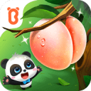 CBA最新排名！广东稳第3，辽闽排名提升，6队紧咬北控争取季后赛