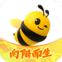 铁人主场上空出现无人机，比赛开球遭推迟